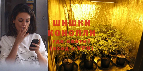 ALPHA PVP Белокуриха