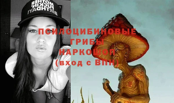 гашик Беломорск