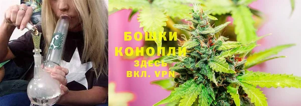 ALPHA PVP Белокуриха