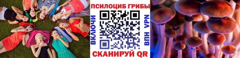 наркошоп  Плёс  Галлюциногенные грибы Psilocybe 